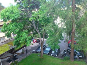 Peña Motera Luka´s Team