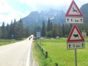 Peña Motera Luka´s Team